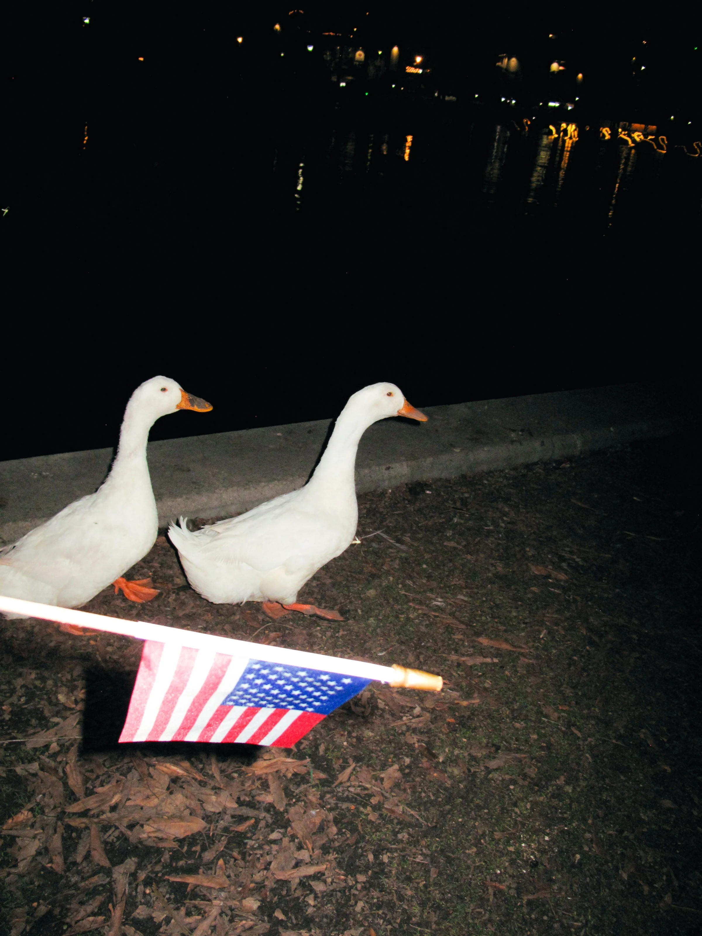 4thofJULY-chaos-379.JPG