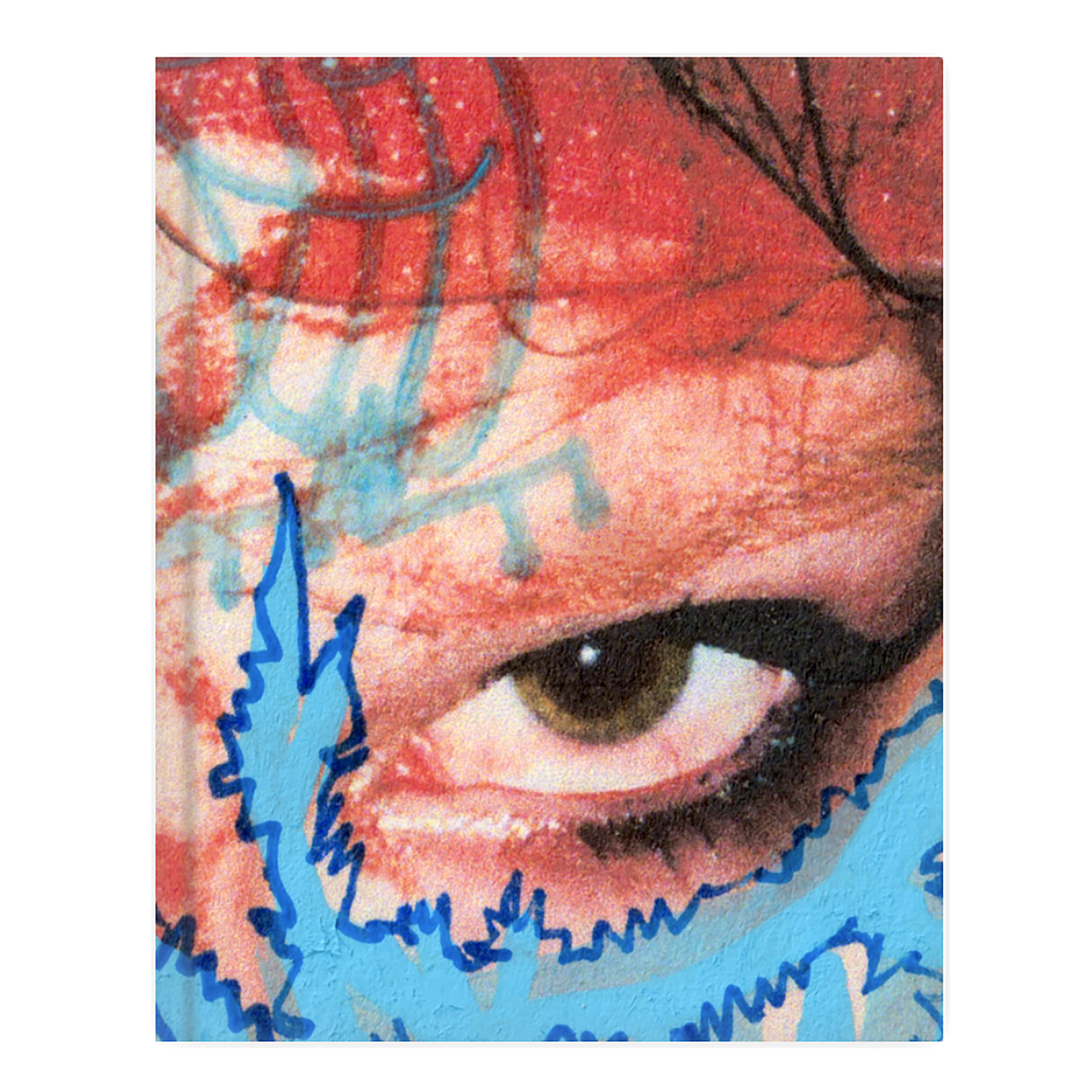 big-cover.png