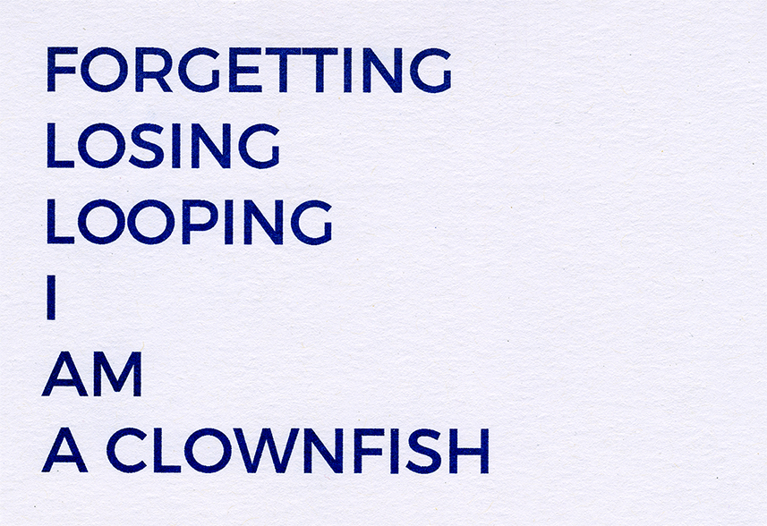 mfa_03_clownfish_klein.jpg