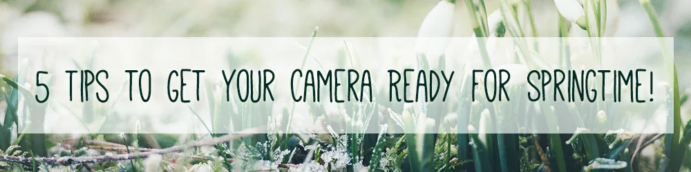 RC_Spring_Tips_250x1000.jpg