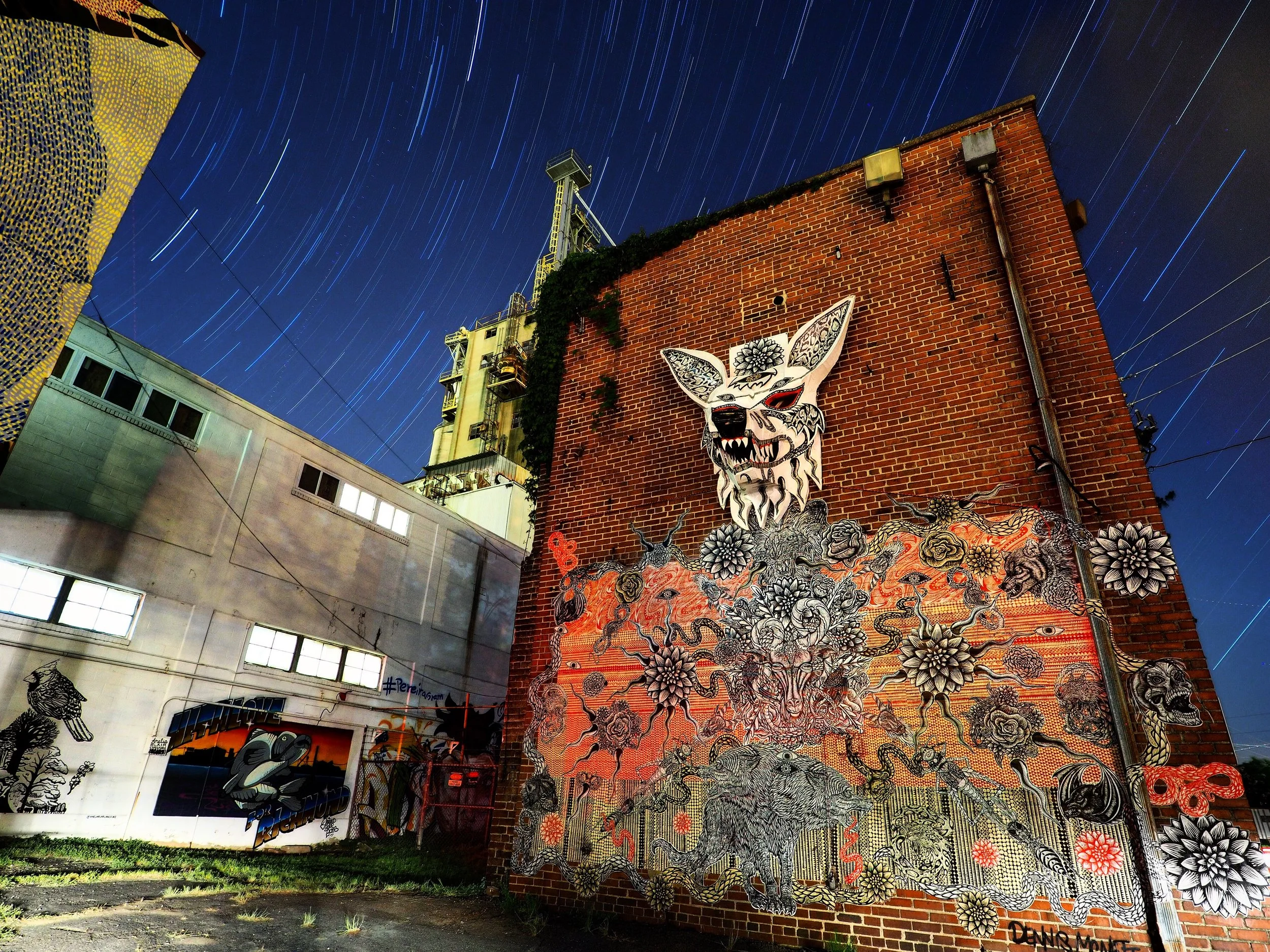 Olympus' Live Composite Feature — Richmond Camera Shop