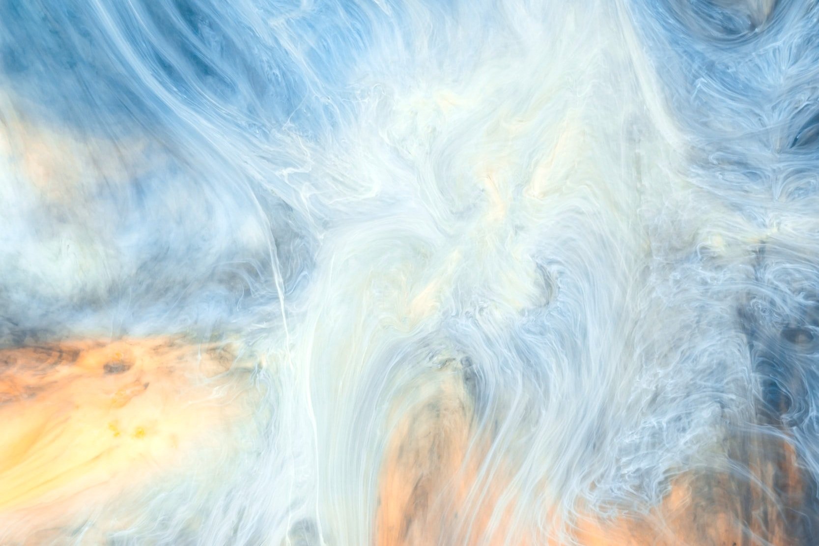 Print Services — Richmond Camera Shop