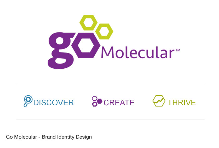 gomo_branding.jpg