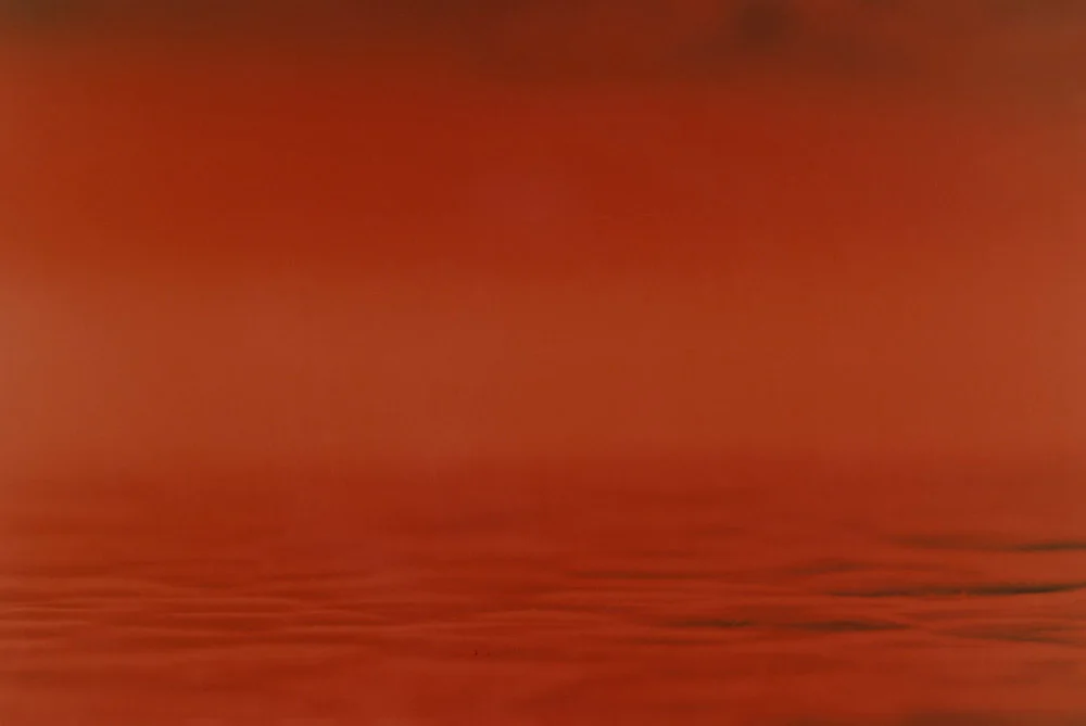 Scene-5_Large.jpg