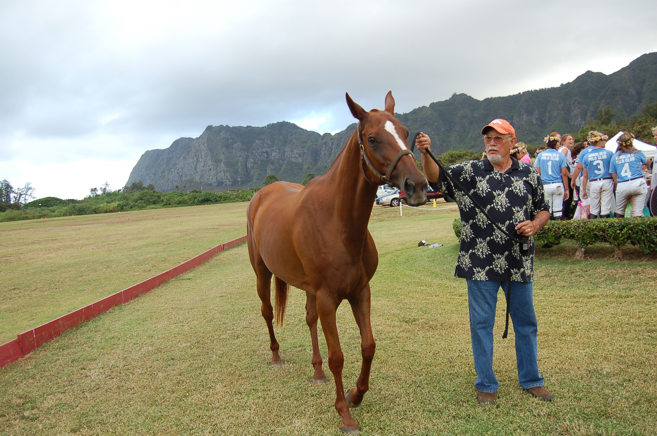 Polo_28Jul2013__075.JPG