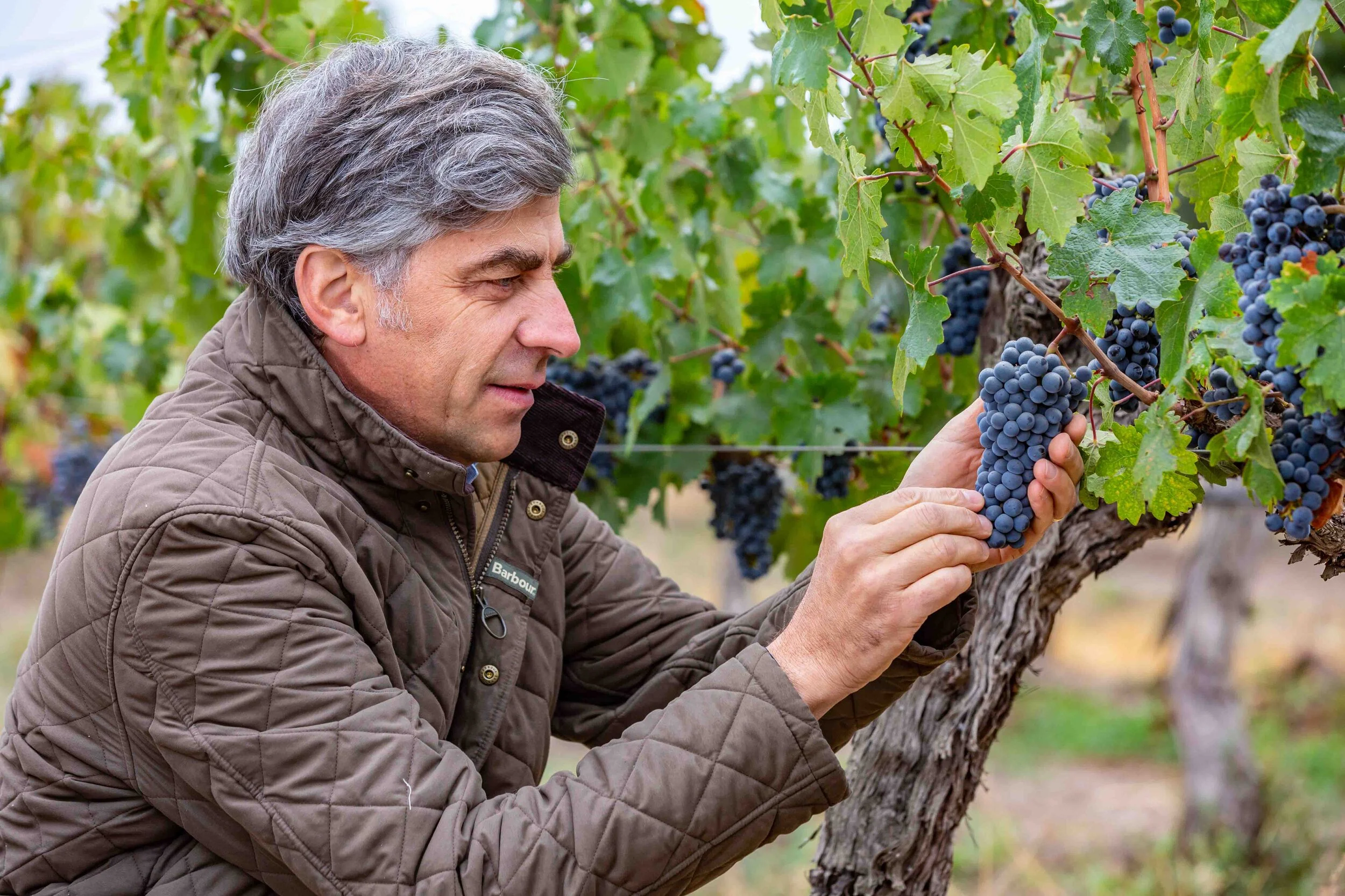 Enrique Tirado, winemaker for Don Melchor