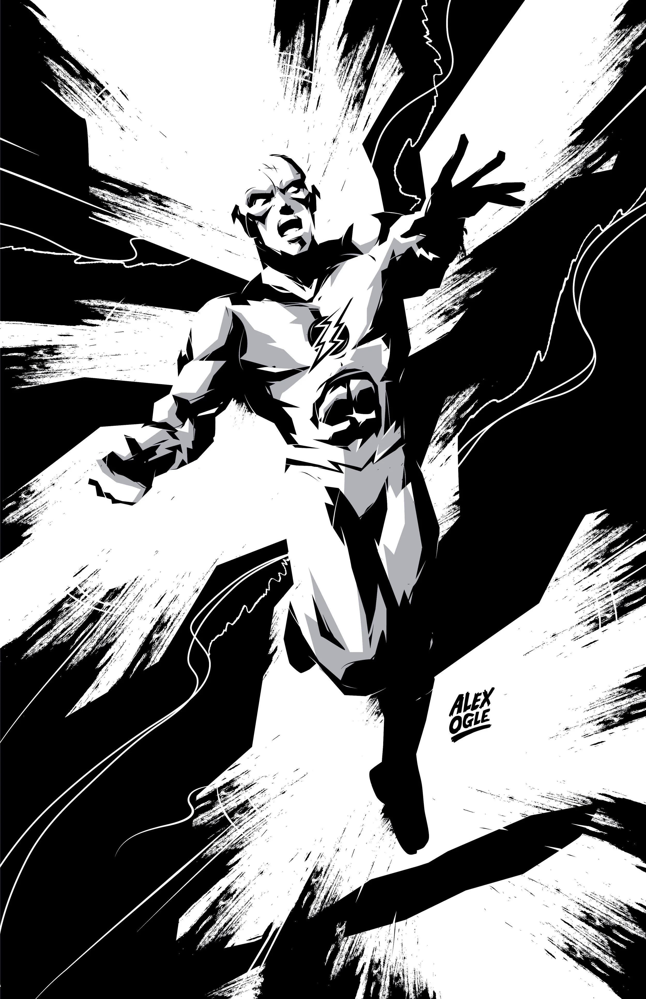 flash_print_11x17.jpg