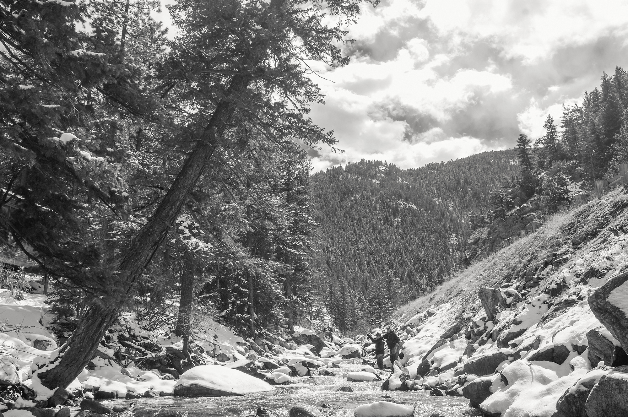 Fly Fishing Boulder Creek