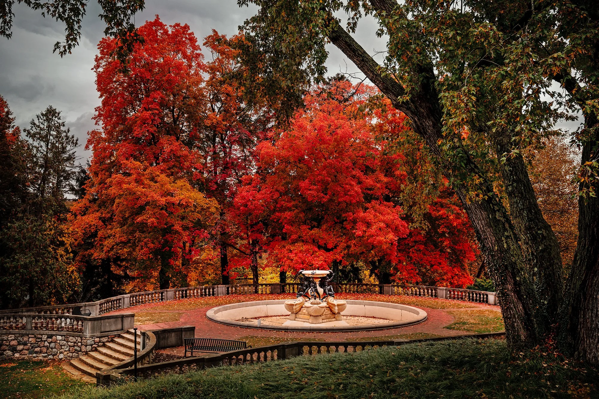 CranbrookFall2025-AP1B.jpg