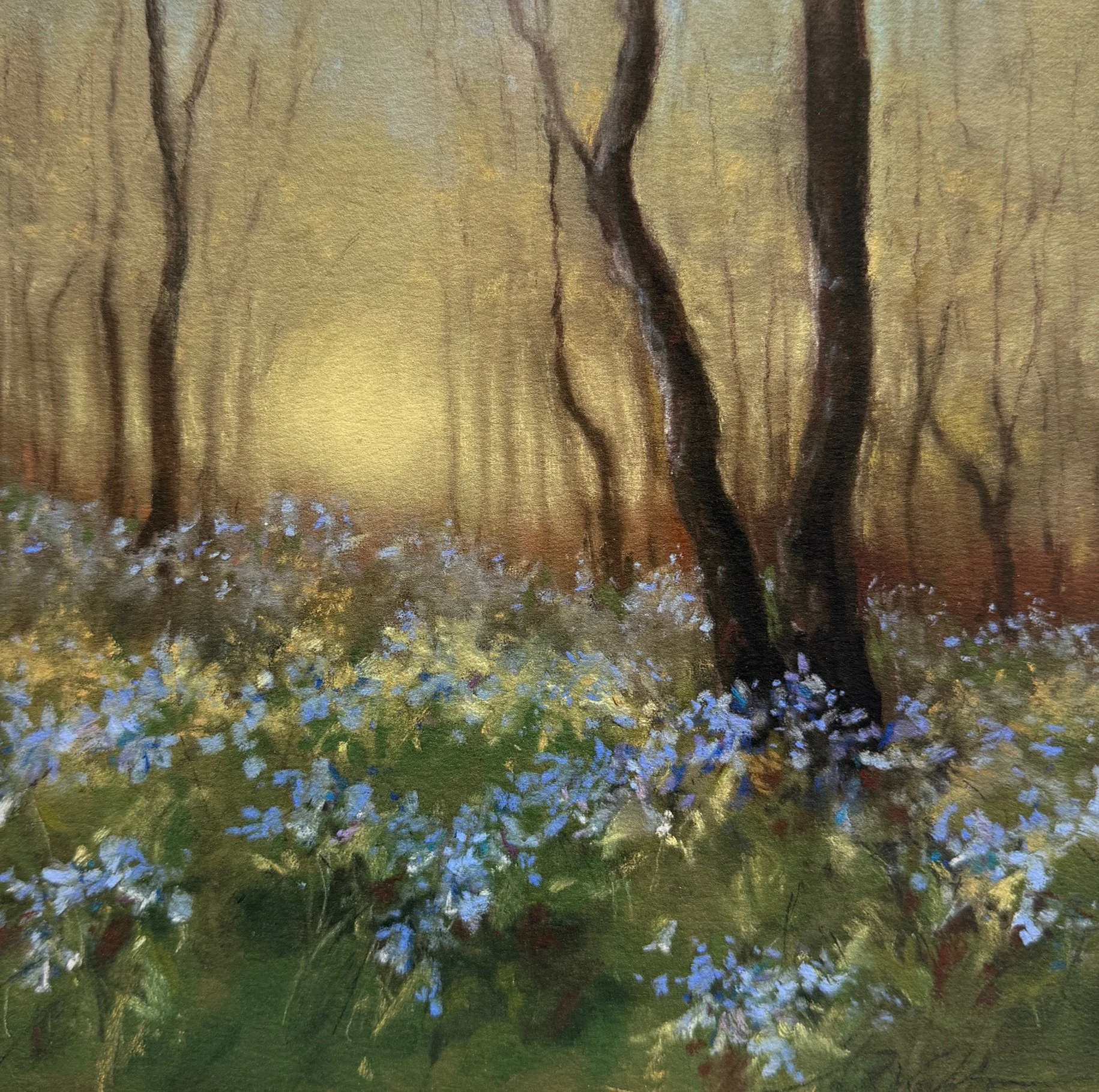 Bluebells in Spring Time.jpg