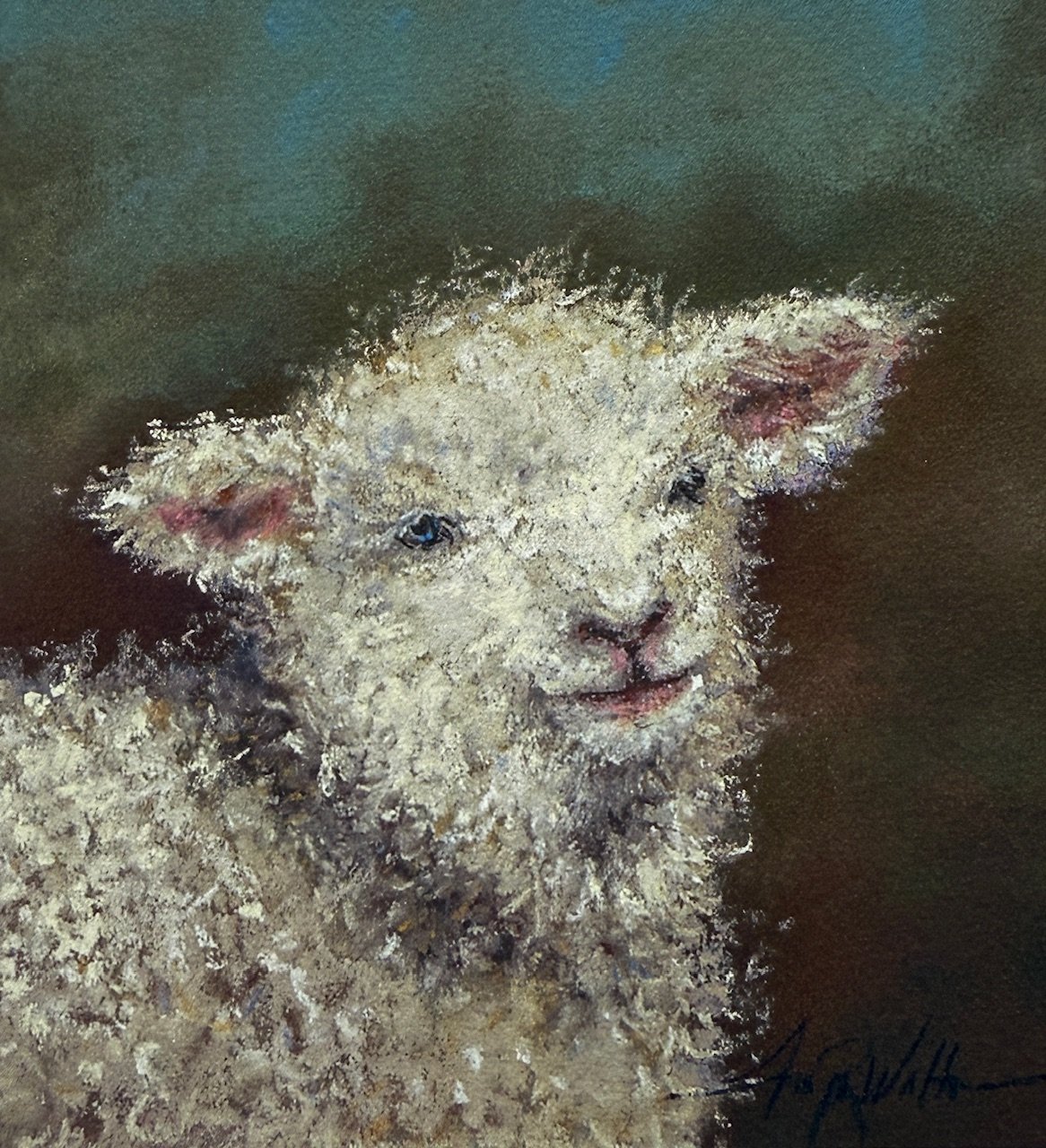 Babyface Sheep.jpg