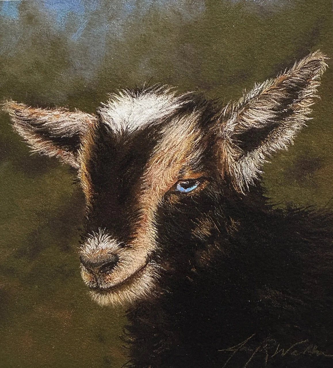 Baby Boy Goat.jpg