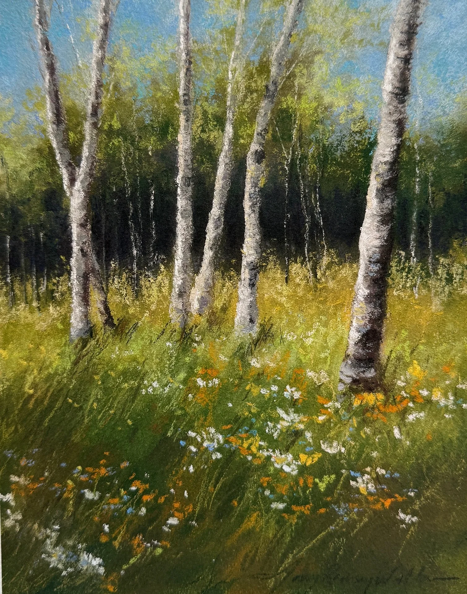 Aspen Trees.jpg