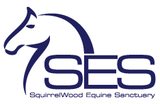 SquirrelWood Equine Sanctuary