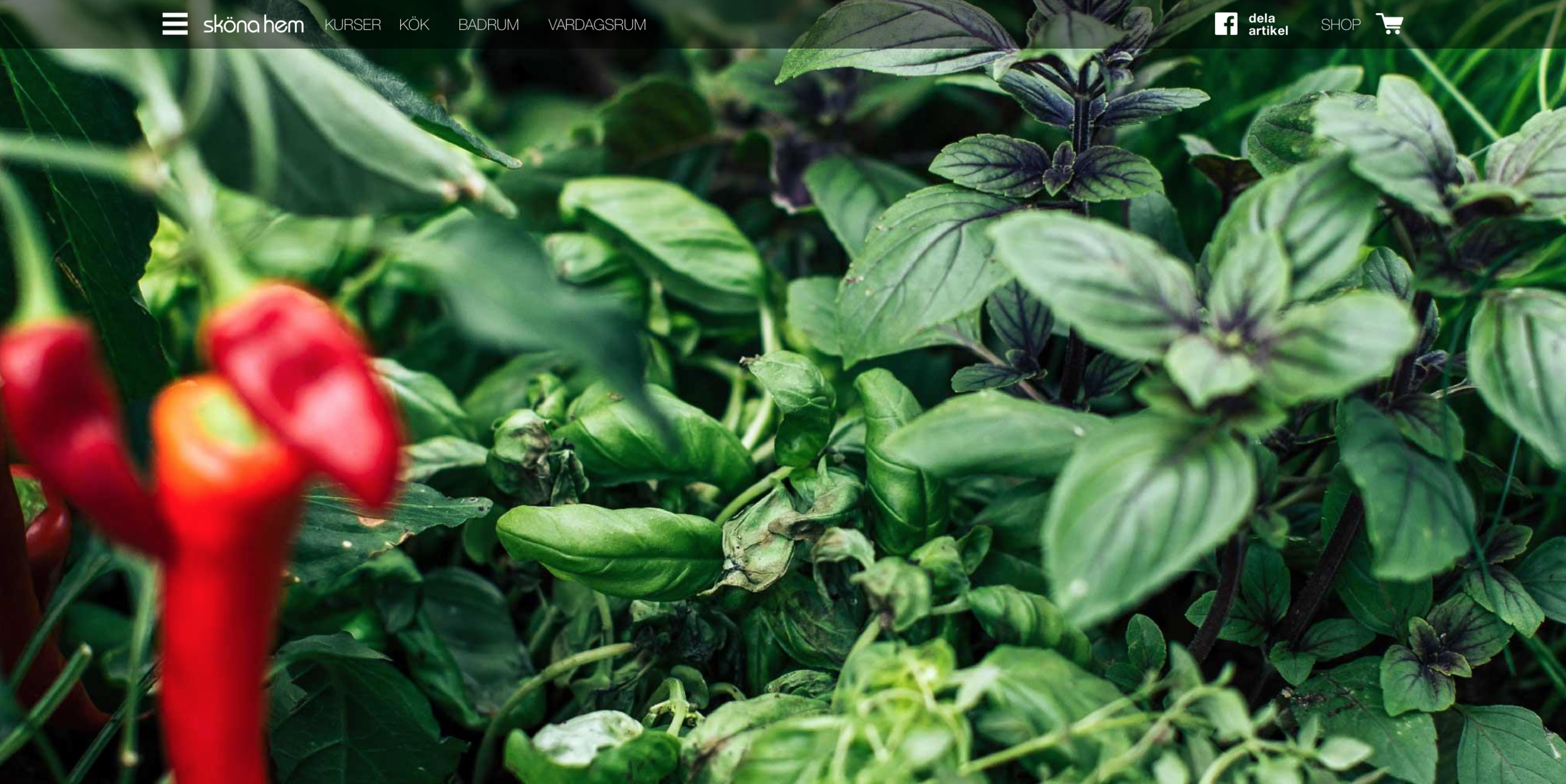 Skärmavbild 2018-01-16 kl. 17.45.43.png