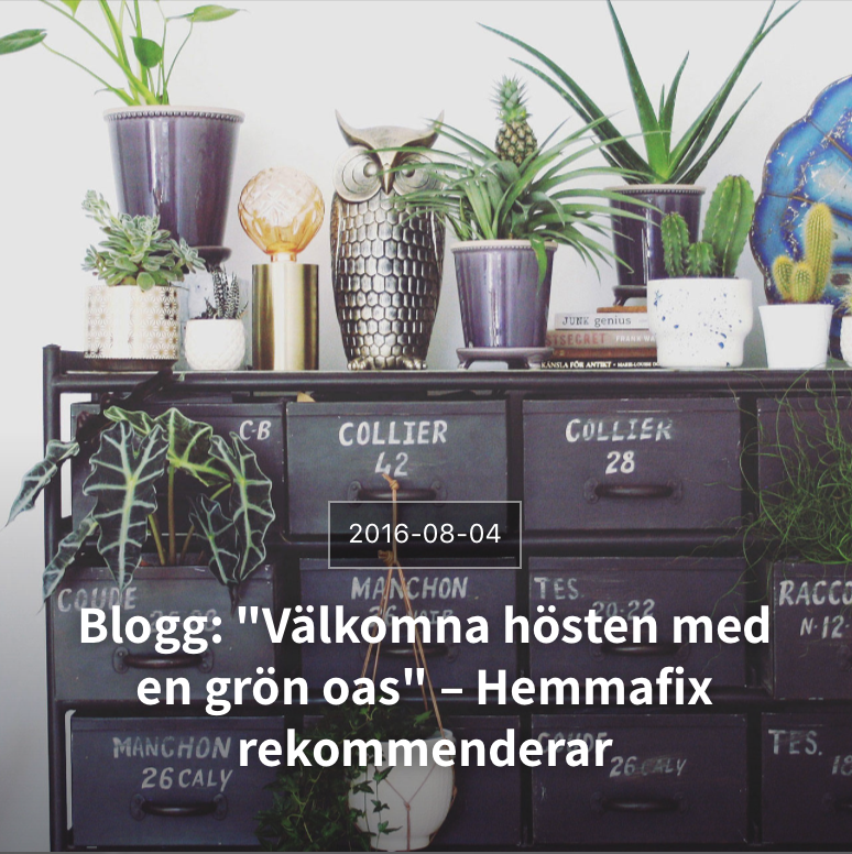 Skärmavbild 2018-01-16 kl. 21.42.16.png