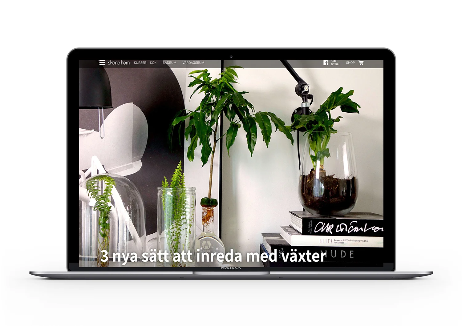 plantagen.jpg