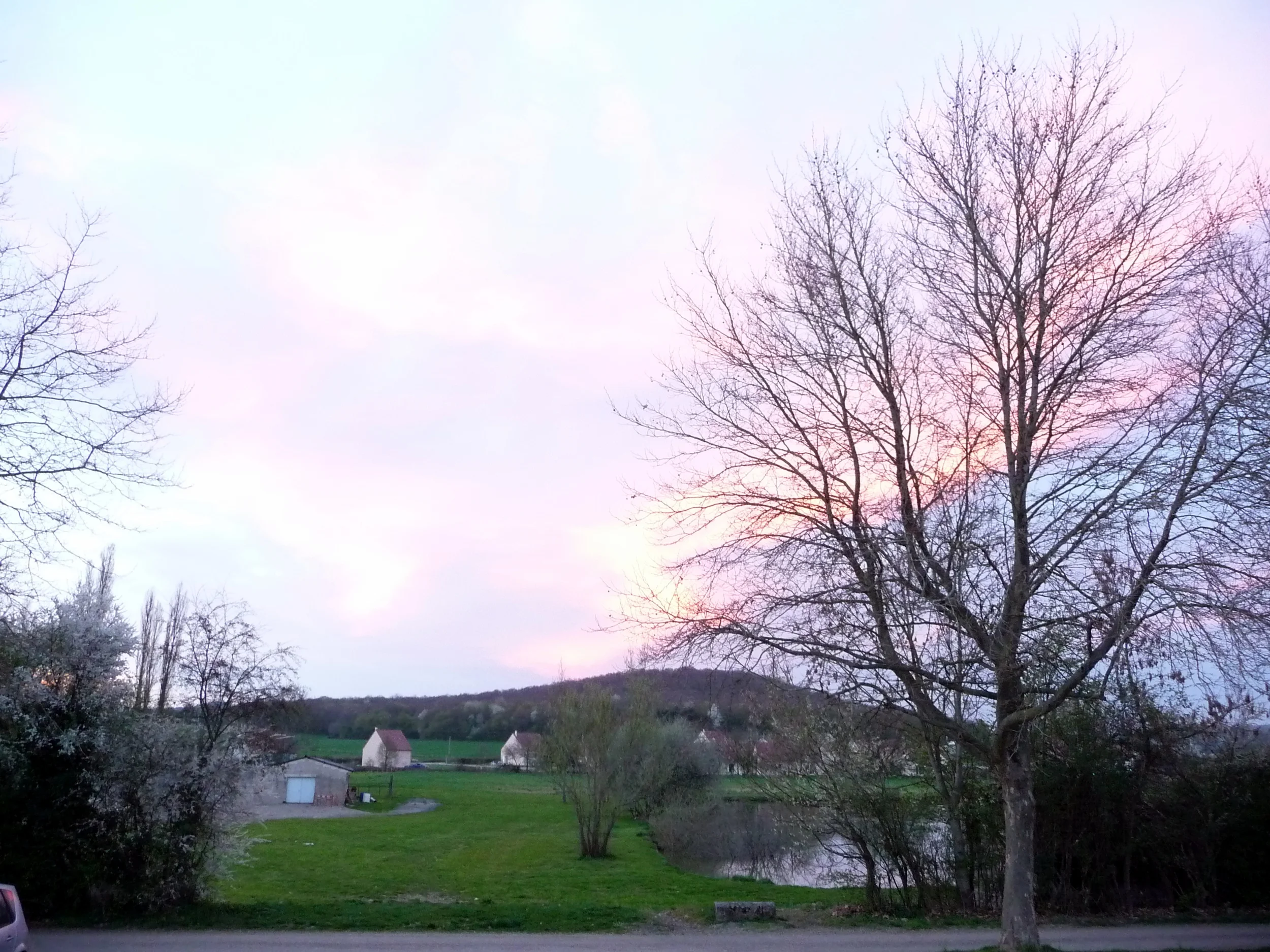 P1110260.JPG