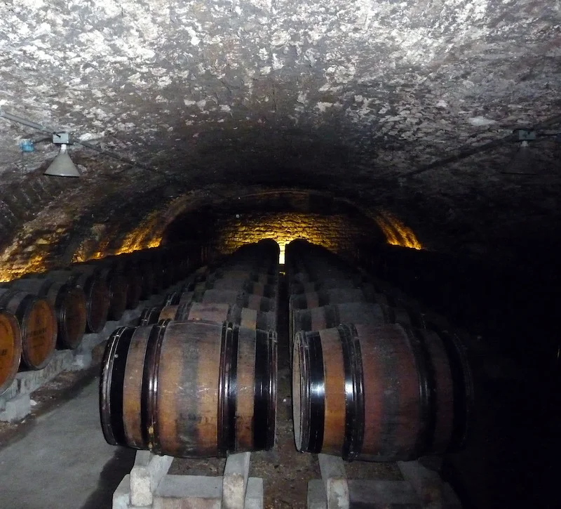 Oak barrels.JPG