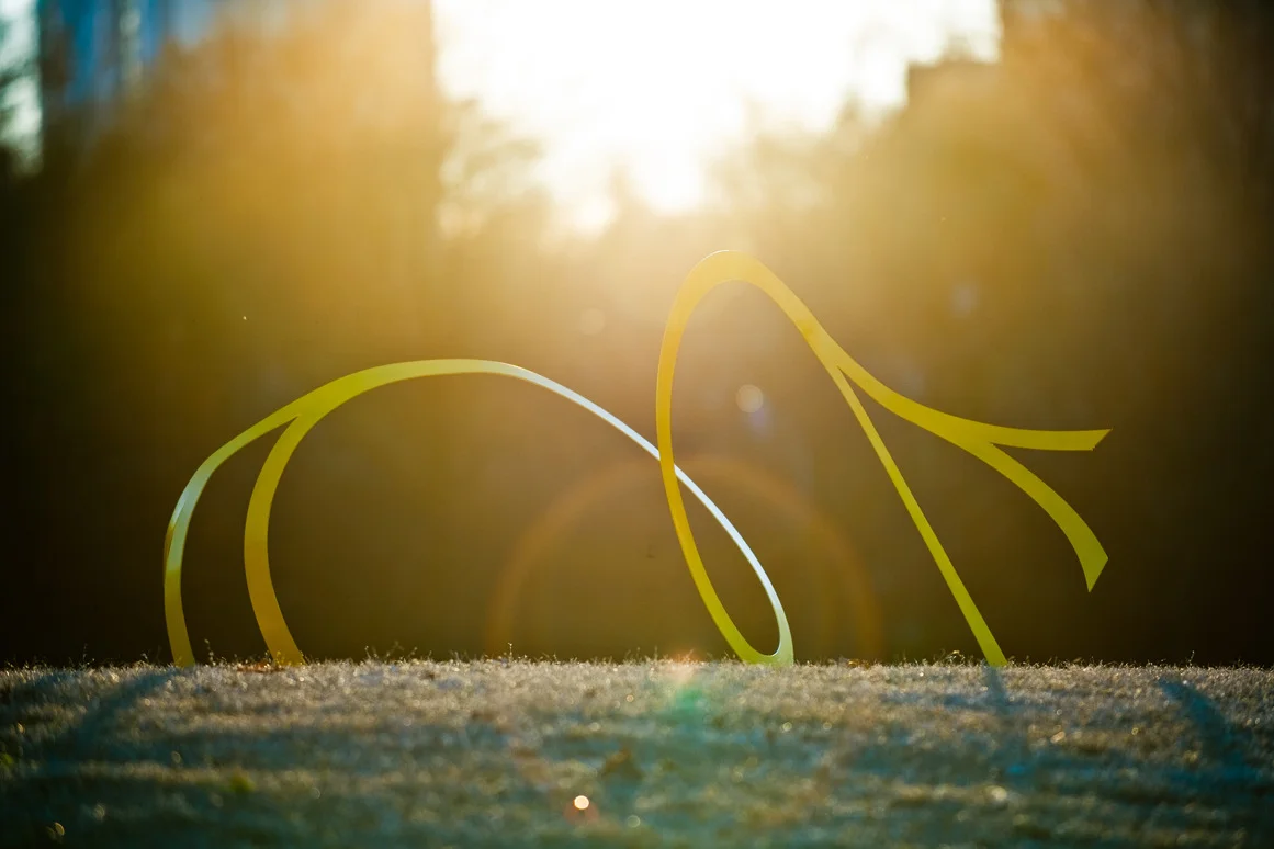 mobile_3_yellow_park.jpg