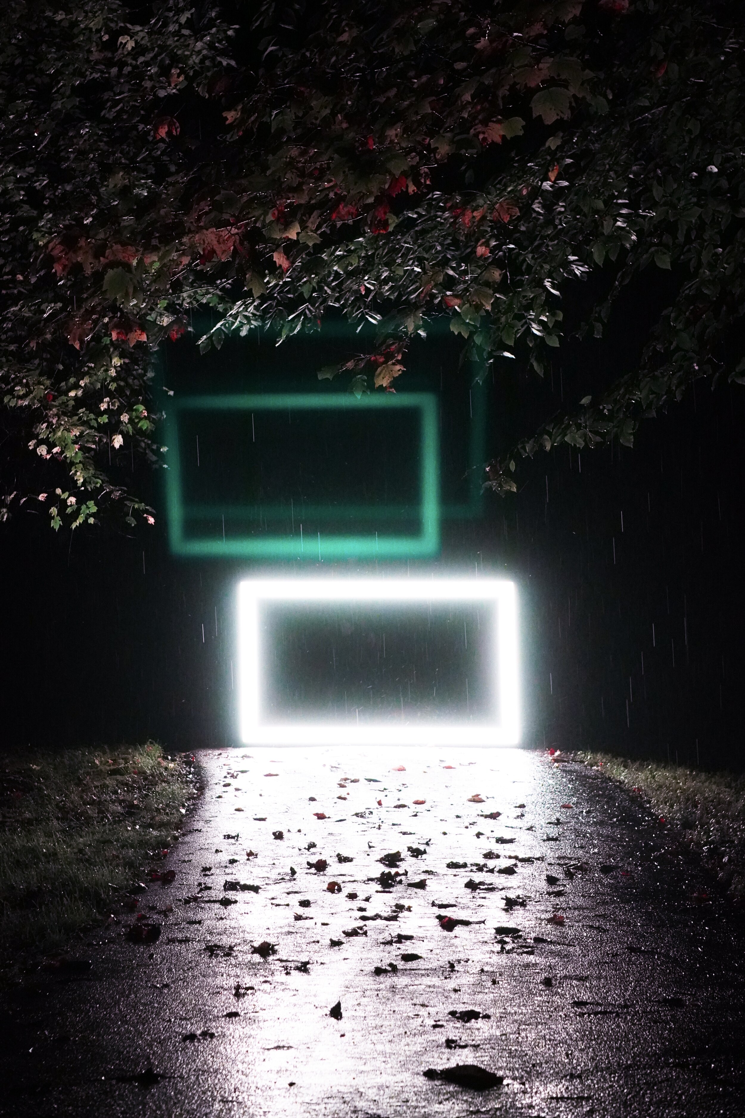 lightscape_2_jpg_WEB.jpg