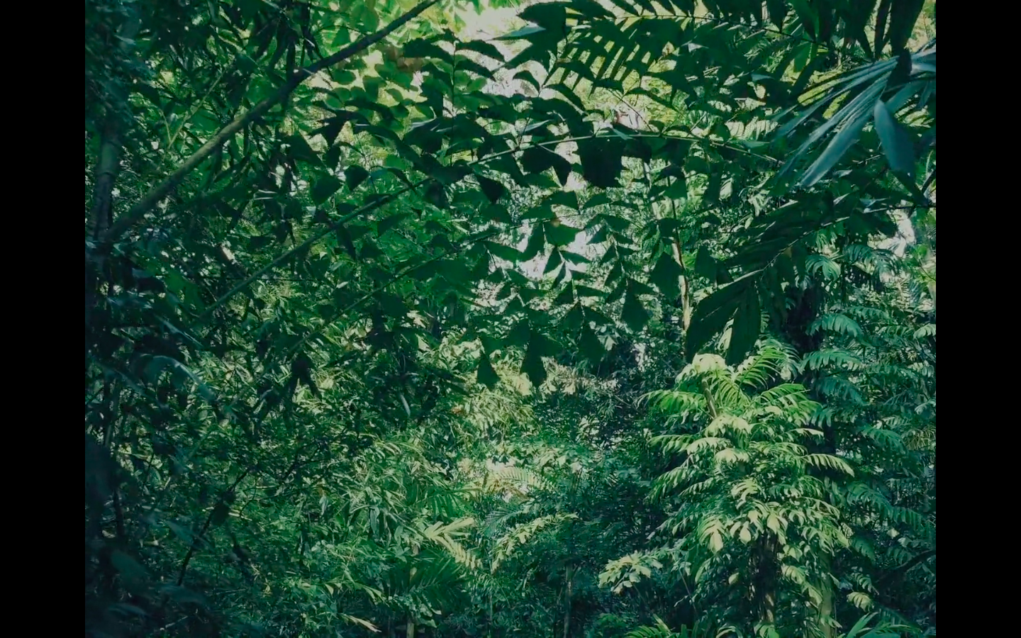 Screen Shot 2019-05-08 at 12.05.40.png