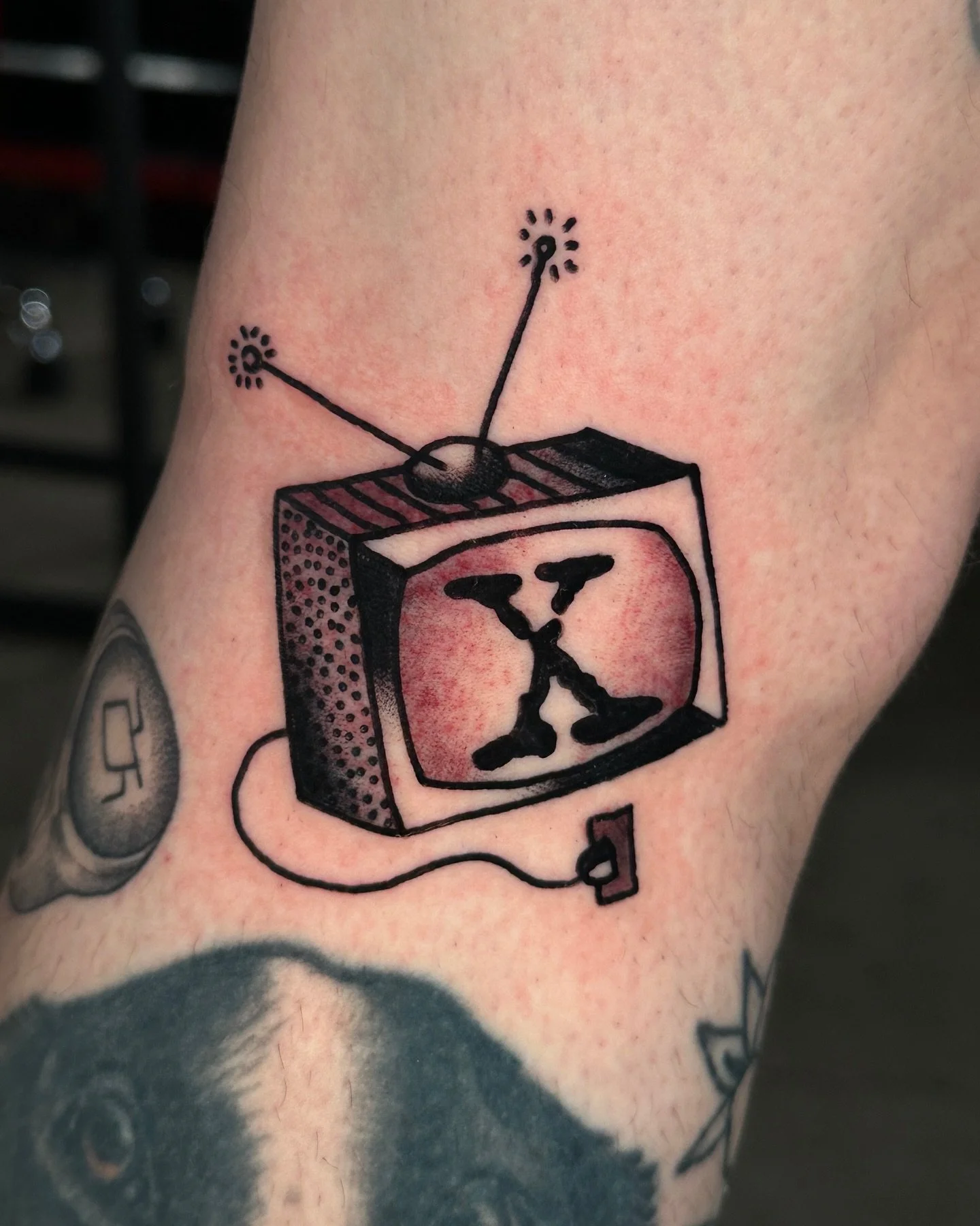 One new and one settled 🛰️swipe for friendship bubble bath inspo. love you x files🛰️