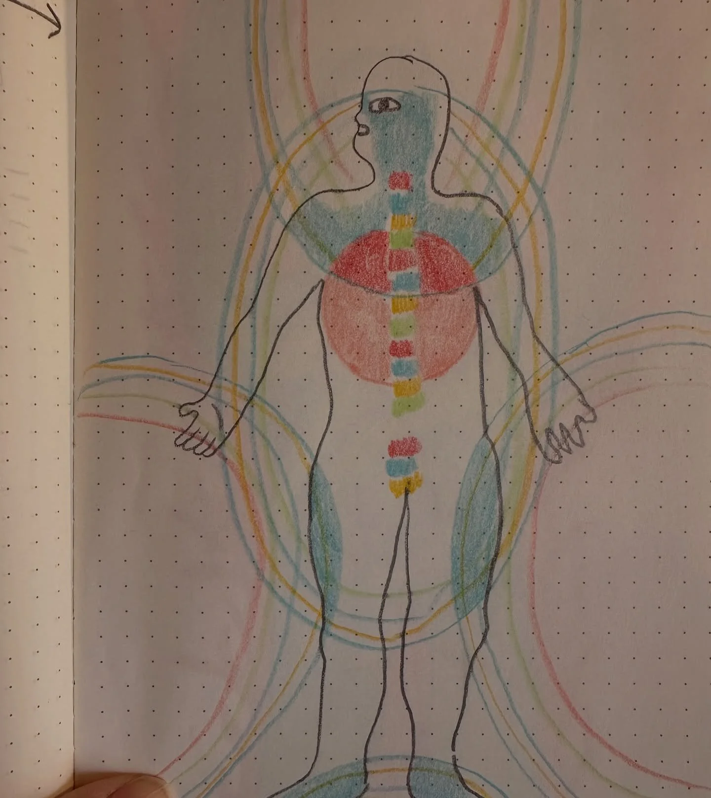 Some notes from the garden