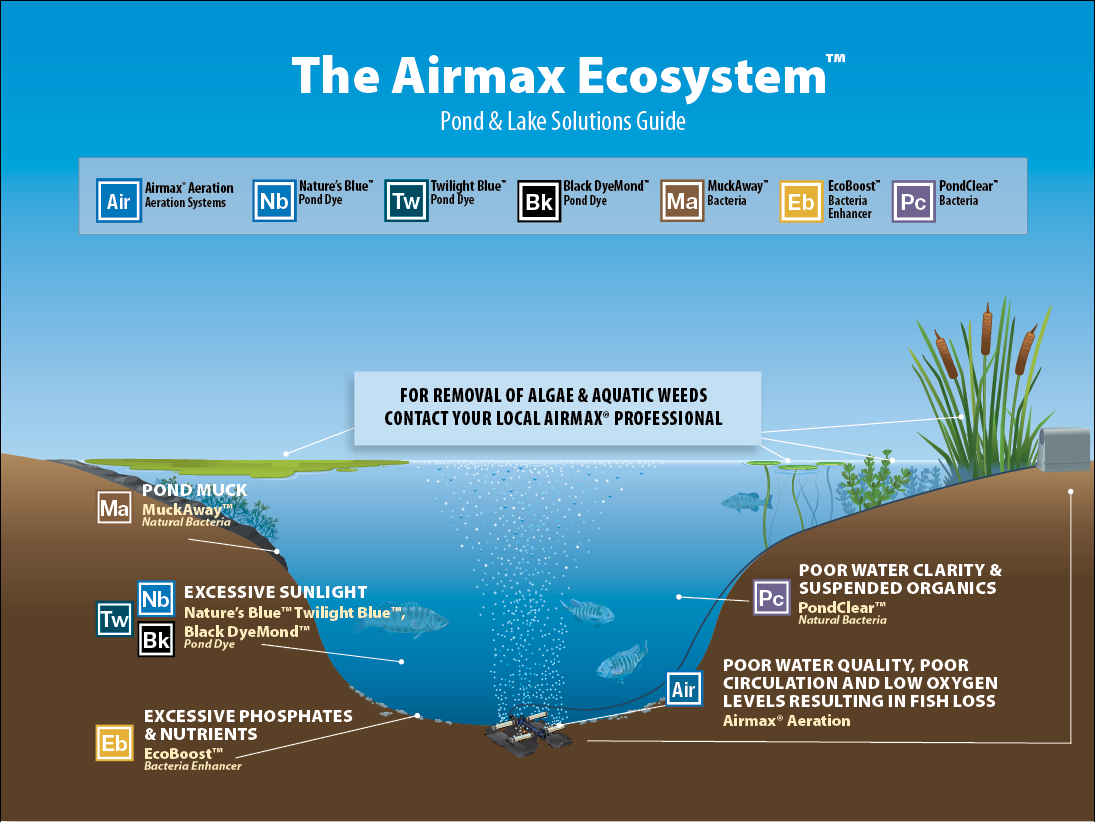 Airmax Ecosystem
120
™
Normal
0
false
false
false
EN-US
X-NONE
X-NONE
/* Style Definitions */
table.MsoNormalTable
{mso-style-name:"Table Normal";
mso-tstyle-rowband-size:0;
mso-tstyle-colband-size:0;
mso-style-noshow:yes;
mso-style-priority:99;
mso-style-parent:"";
mso-padding-alt:0in 5.4pt 0in 5.4pt;
mso-para-margin-top:0in;
mso-para-margin-right:0in;
mso-para-margin-bottom:10.0pt;
mso-para-margin-left:0in;
line-height:115%;
mso-pagination:widow-orphan;
font-size:11.0pt;
font-family:"Calibri","sans-serif";
mso-ascii-font-family:Calibri;
mso-ascii-theme-font:minor-latin;
mso-hansi-font-family:Calibri;
mso-hansi-theme-font:minor-latin;}
- Pond & lake solutions for removal of algae and aquatic weeds.