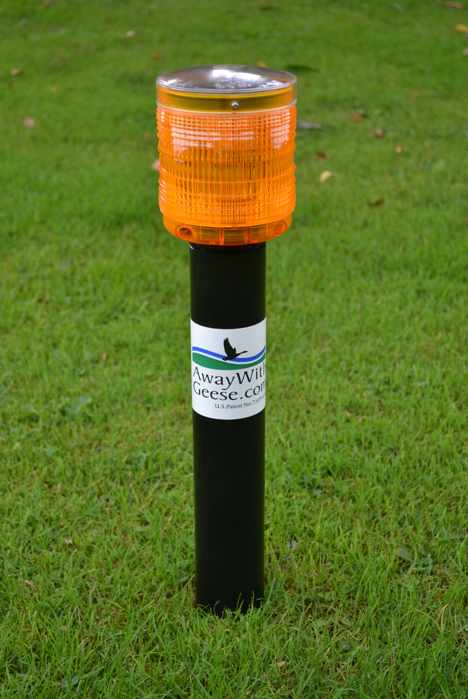 Black_Lagoon_Pond_Management_Away_with_Geese_AWG_Land Unit.png