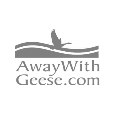 affiliates-geese.png
