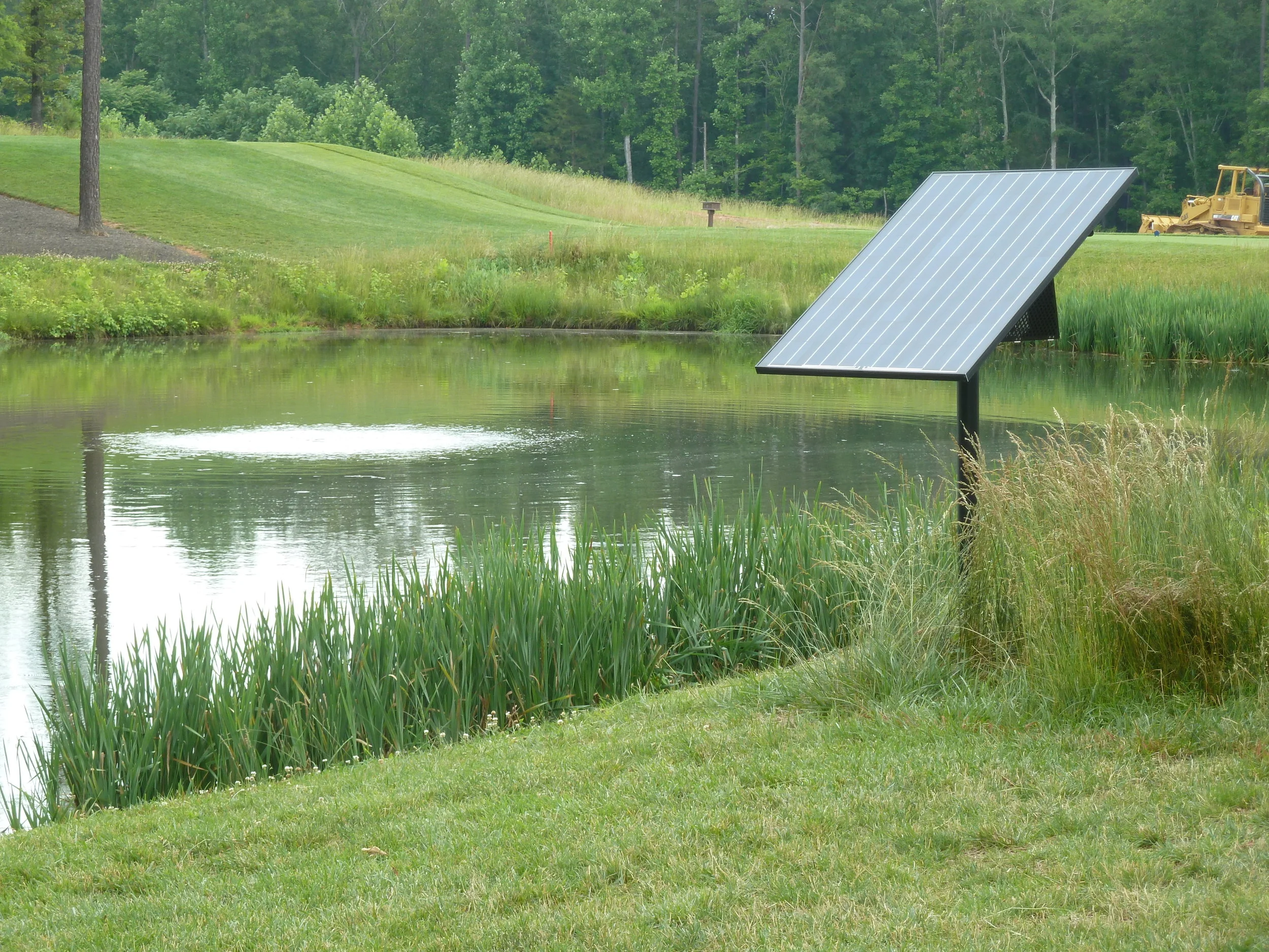 pic-pondhawk-06.jpg