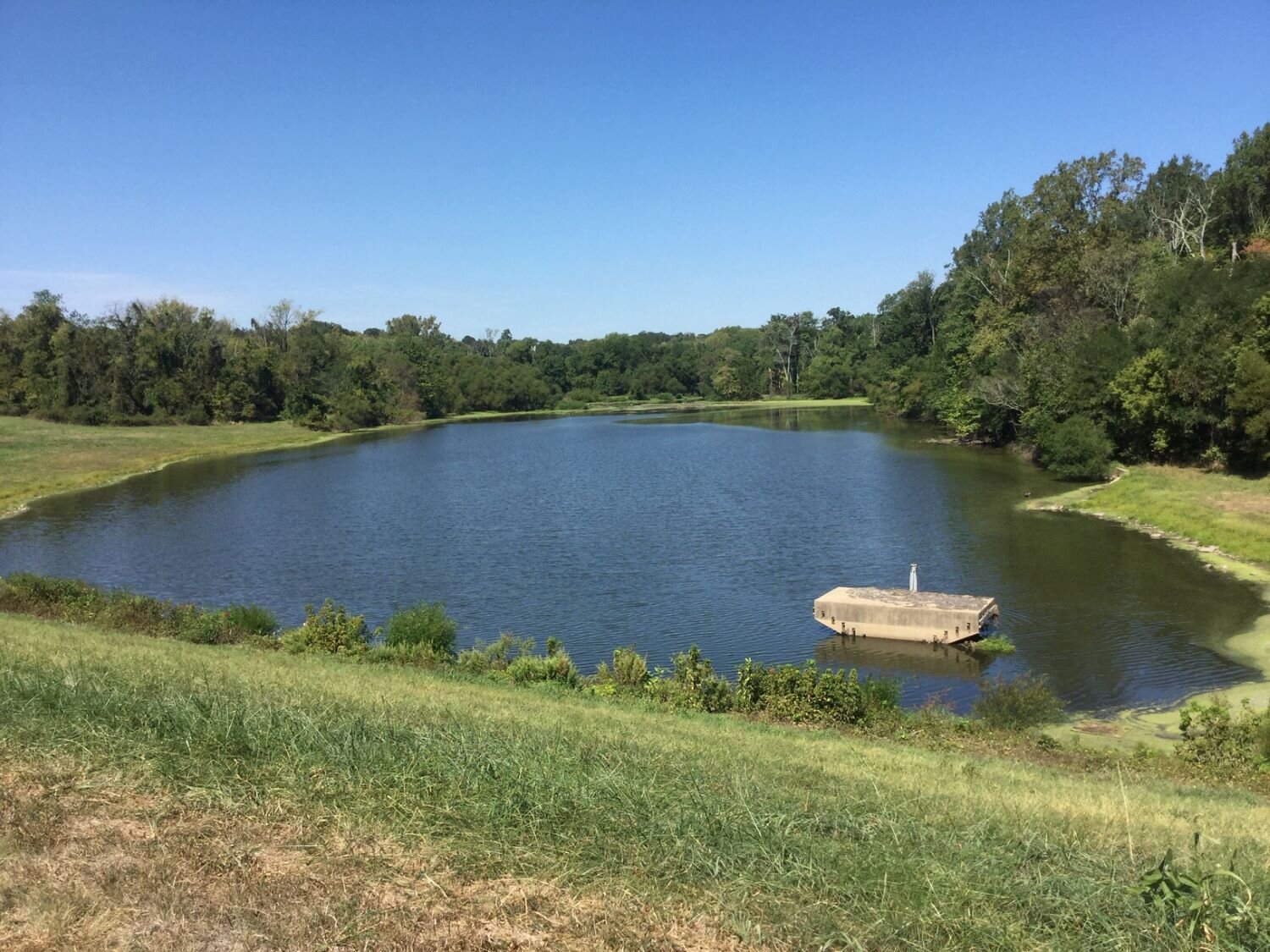 Pennsylvania Pond Treatment.JPG