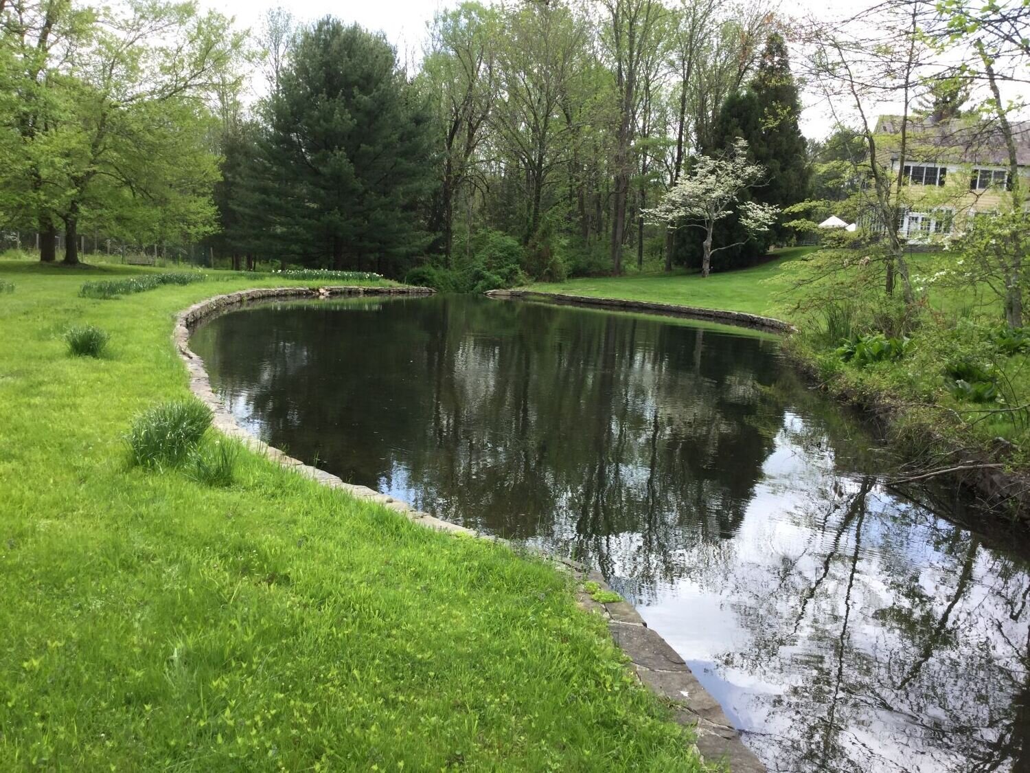 Princeton New Jersey Pond Treatment.JPG