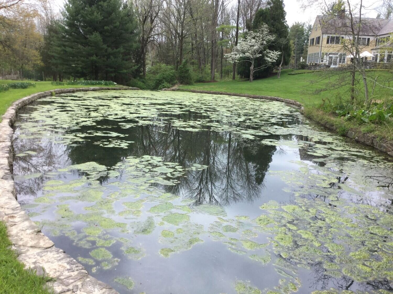 Princeton New Jersey Pond Management.JPG