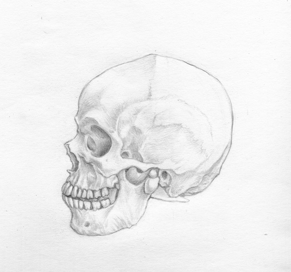 Vetor do Stock Black human skull on a white background side view Hand  drawing tattoo sketch print  Adobe Stock