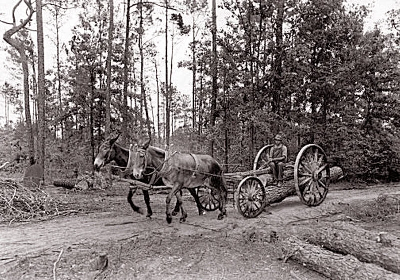 historic_06.jpg
