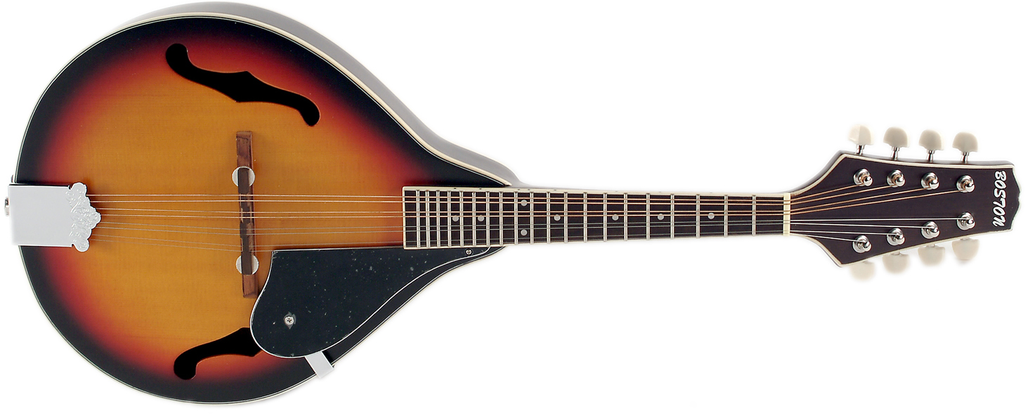 Boston Flatback Mandolin.jpg