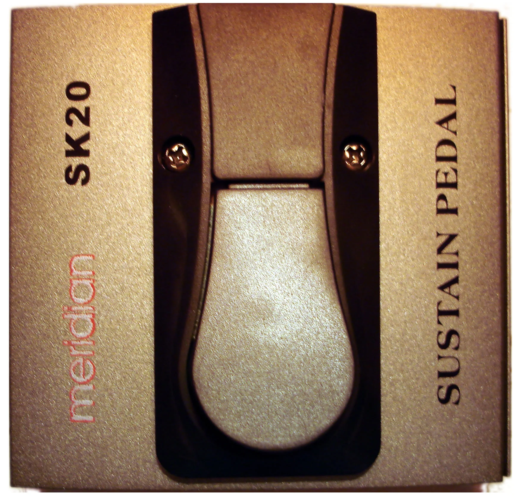 SK20 Unlatched Footswitch.jpg