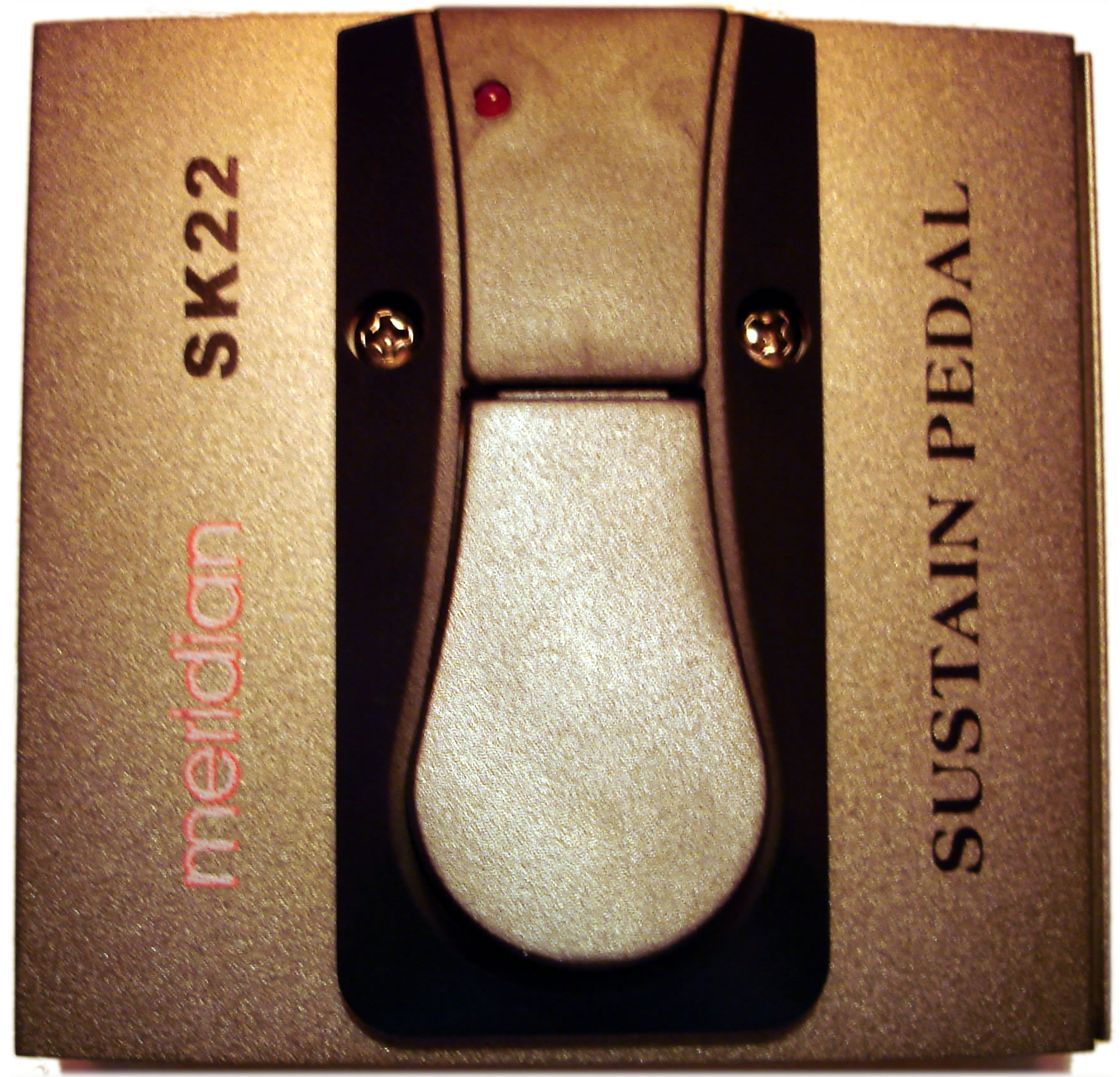 SK22 Latched Footswitch.jpg