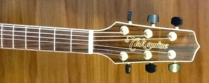 Takamine G-Series GY93E- NAT & GTI Gigbag c.jpg