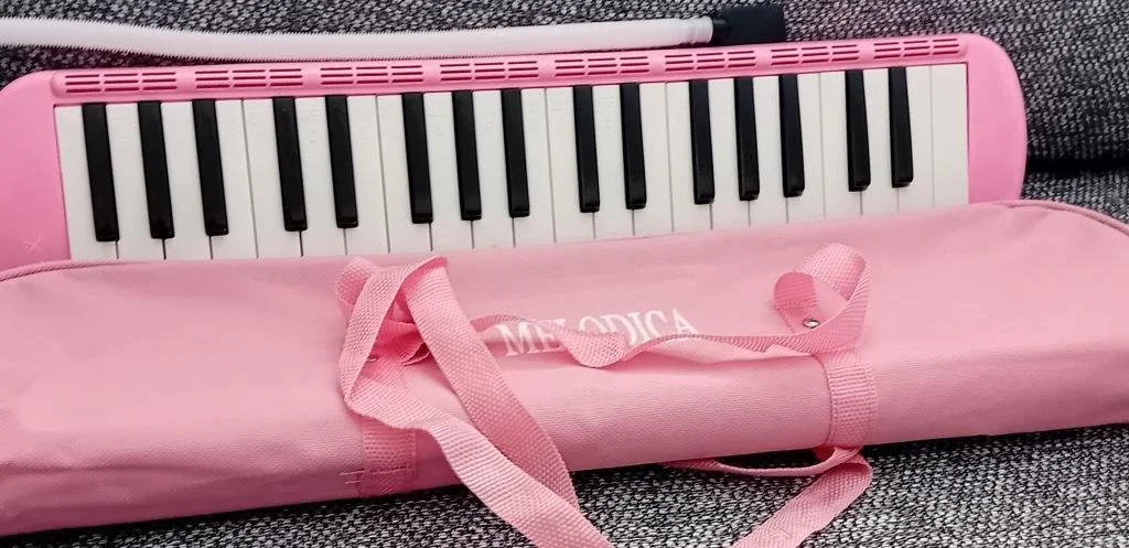 22 key melodica  £25 pink.jpg