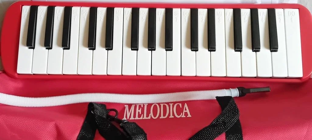 19 key melodica £19.jpg