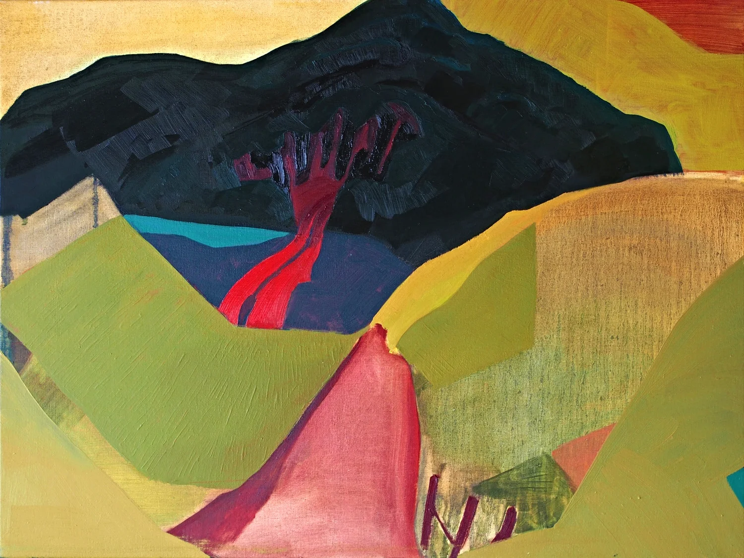 fields and forest