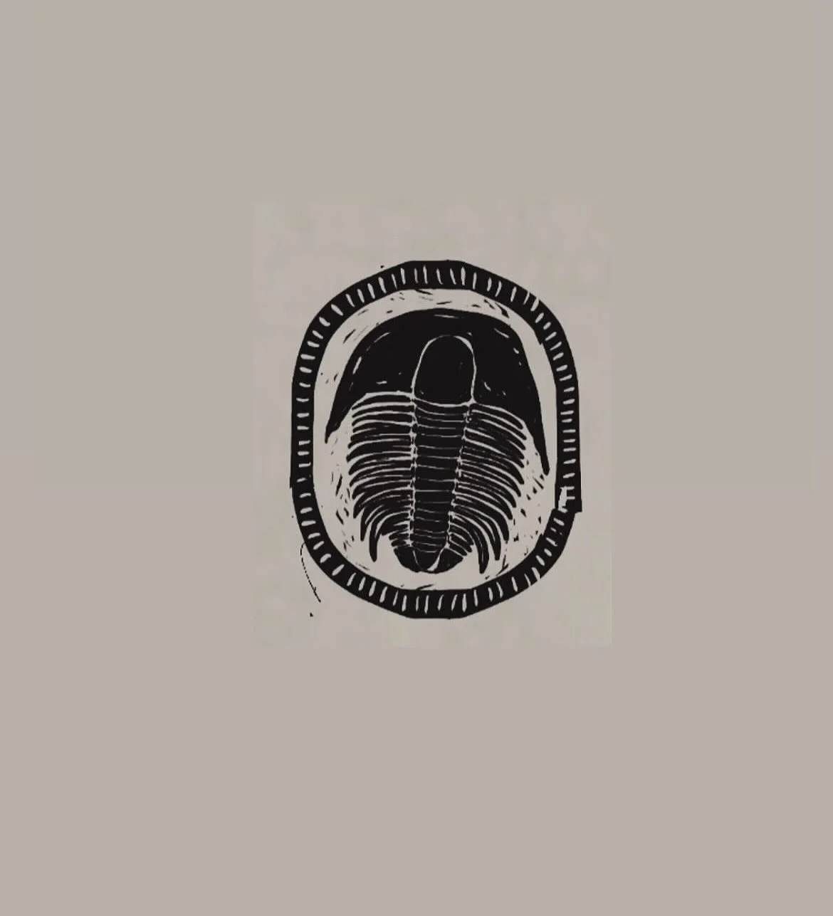 The true ancient mariners.
Trilobites lived in the oceans 521 million years ago. Extinct now, they are the ancient relatives of today&rsquo;s crustaceans. Like today&rsquo;s crustaceans, some trilobites were detritivores (cleaning up the bottom floor