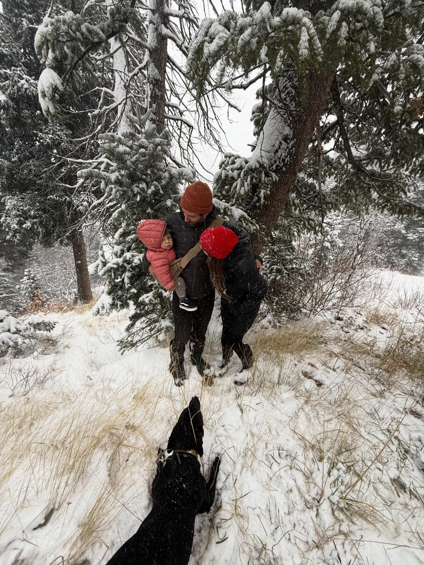 Blessed Yuletide and Happy Christmas Eve from my little family to yours &hearts;️