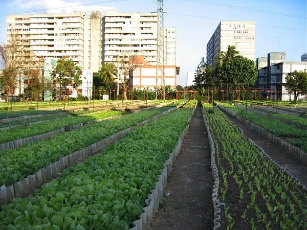 blogFlats gr dichterbij mooi.jpg