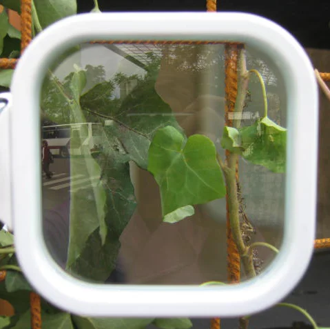 vergrootglas.jpg