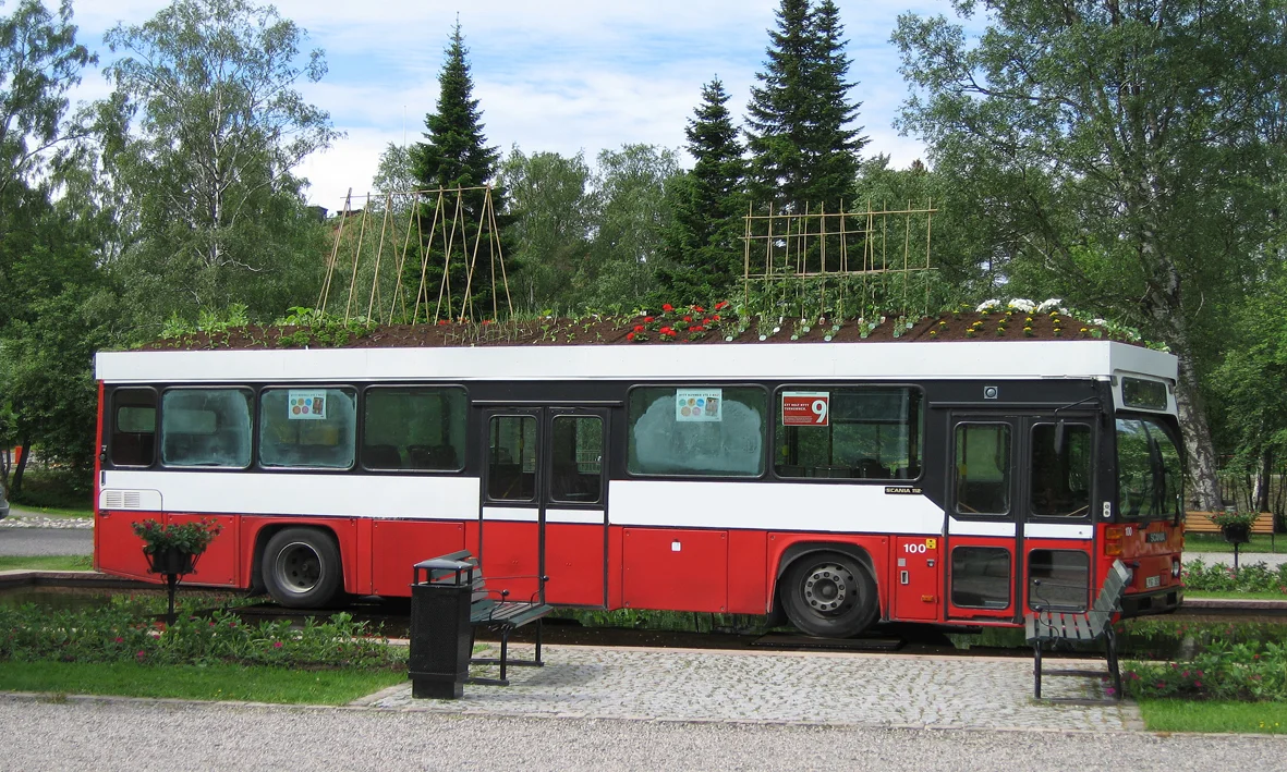 Bus annechien meier.jpg
