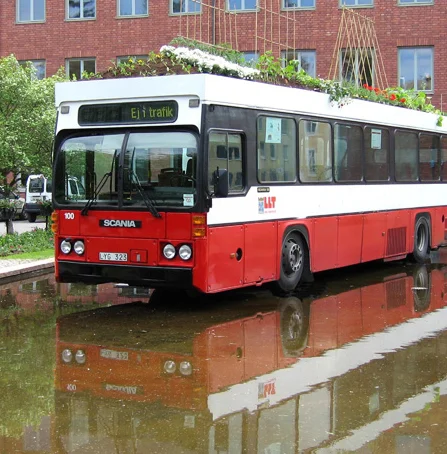bus nieuw.jpg